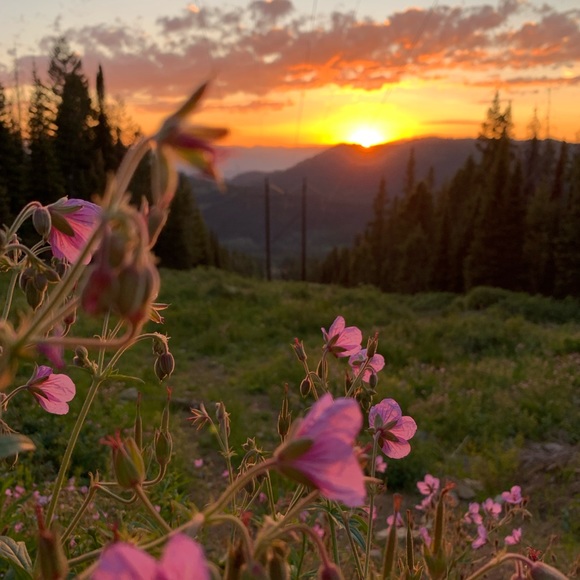 It’s Brittany!!!! - Picture 5 of 6